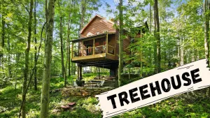 Image of Ohiopyle Luxury Treehouse