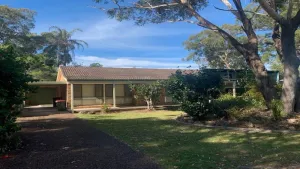 Image of Hawks Nest's Holiday Gem