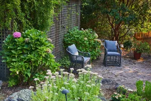 Image of Studio cottage retreat in a vineyard setting