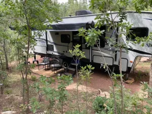 Image of Unique forest adventure 10 Glamper
