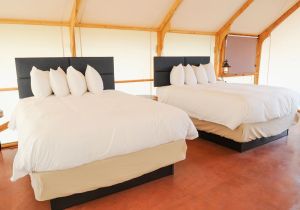 Image of Glamping Tent Double Queen - Royal Gorge Cabins