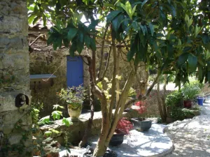 Image of Vacation home 14 pers 7ch. authentic Mas cévenol, wooded park, near Anduze