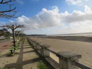 Image of Nice accommodation just renovated near the sea