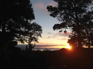 Image of Private Carmel Woods, Dog Friendly, by Monterey, Pebble Beach, Big Sur