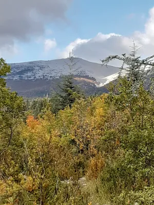 Image of Chalet surrounded by nature 2.5 km from BEDOIN