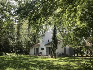 Image of Quiet cottage for 2-4 people in the countryside in the Camargue