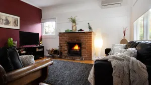 Image of The Apple Tree