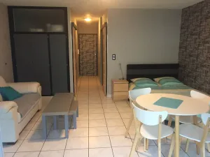 Image of Apartment Saint Jean