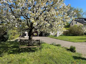 Image of Quiet vacation apartment, not far from the Affenberg, ideal for hiking and cycling