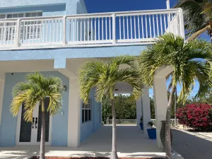Image of House full of life with pool