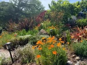 Image of Amazing Santa Cruz Landscaped Paradise