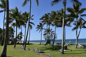 Image of Comfort Resort Blue Pacific