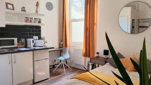 Image of 1 Bedroom Studio in a Supurb Area of Cardiff