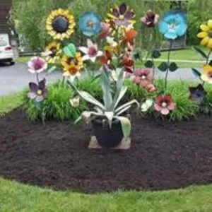 Image of Shady Lane Oasis in Fayetteville