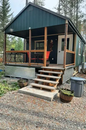 Image of Eagle's Nest: a cozy cabin beneath the pines