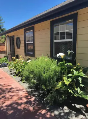 Image of The HumBee Studio