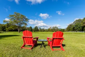 Image of Country Living just minutes from Everything!