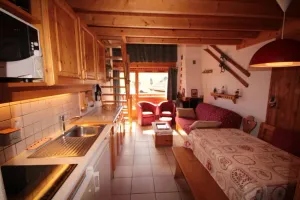 Image of 100m from resort center, 1st floor, balcony, fireplace or stove, tv, ski locker, 45m², Les Saisies