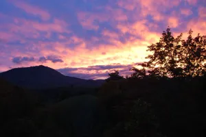 Image of Nature's View, Beautiful 3-Story Cabin; 3 Bdrms w\/King Beds; Free WiFi