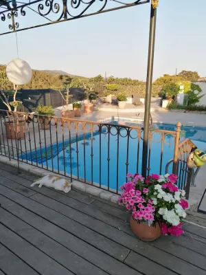 Image of Bandol studio les Kikous Swimming pool