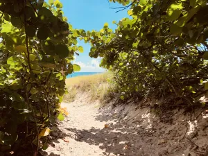 Image of Beach Condo steps from Ocean and Atlantic Avenue
