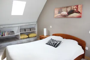Image of Duplex apartment near TGV station and town center completely renovated