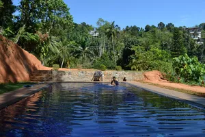 Image of Sweet Cinnamon Kandy