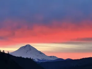 Image of Luxury idyllic guesthouse w\/ Mt Hood views, patio w\/gas fire-pit, and gardens!