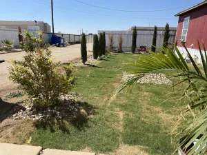 Image of located In Odessa tx This cute place has a nice open floor plan and a big yard