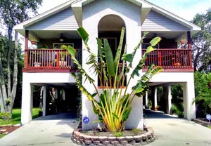 Image of TreeHouse