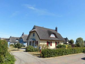 Image of Thatched cottage sunshine