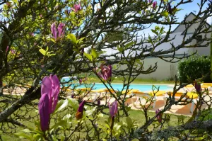 Image of Manoir Du Parc (Adults only)