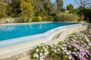 Image of Appartement Numéro 1 - piscine