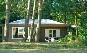 Image of Populierenlaan 21 modern holiday chalet with epic garden