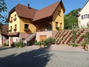 Image of Schieferberg in the heart of the vineyards