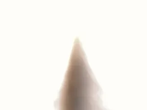 Image of House perfect