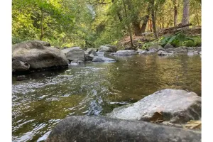 Image of The Creek House in the heart of gold country