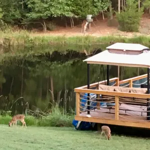 Image of Angeltom Cabin & RV:20 Acre Woods - >16 pip + Jacuzzi + treehouse + UTV + 2ponds