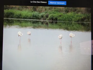 Image of Le clos des oiseaux is a winery located in Aimargues.