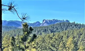 Image of Mount Rushmore, Black Hills.