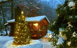 Image of Rustic Log Cabin #5 - \"Escape\"