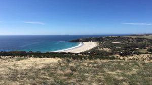 Image of A perfect coastal escape at Snelling Beach