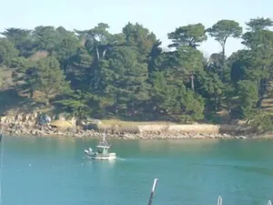 Image of SEA BRIGHT
