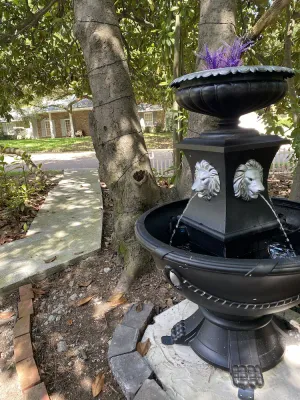 Image of Magnolia Suite Vacation Home -Private Entry, Old Canton N. Jackson