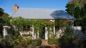 Image of Wisteria Hysteria