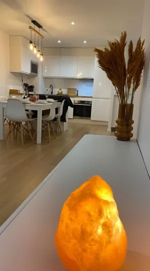 Image of Nice and cosy flat near Geneva or Annecy