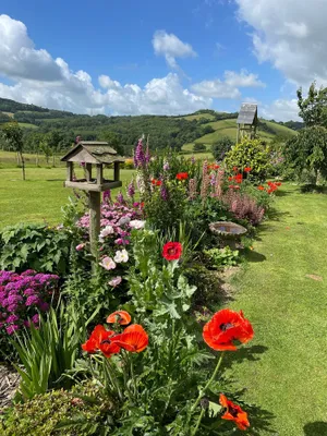 Image of Devon rural country B&B Suite of rooms  with guest lounge and bathroom.