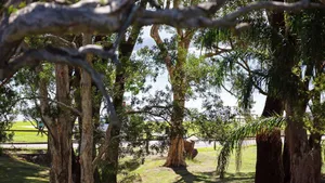 Image of Bay Parklands, 34 2 Gowrie Avenue - Air con, Wifi, Views, Pool, Spa & Tennis Court