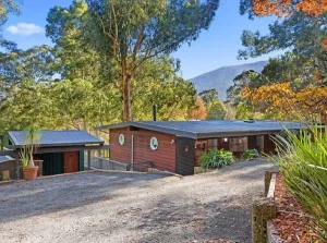 Image of Alpine Views