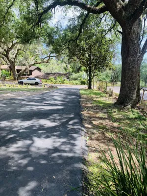 Image of El Hoy